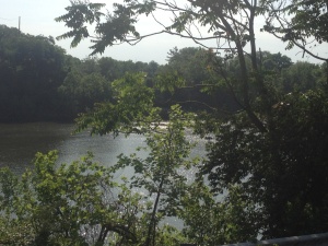 Running in my neighborhood - a view of the Cumberland River